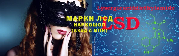 PSILOCYBIN Россошь