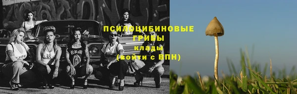 дживик Рославль
