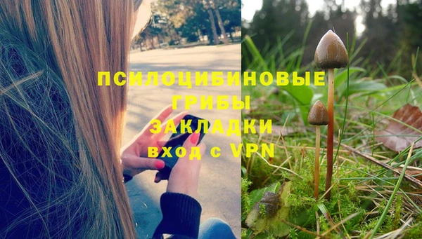 эйфоретик Алексеевка