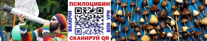 даркнет сайт  Далматово  omg ссылка  Галлюциногенные грибы MAGIC MUSHROOMS 